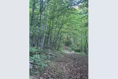 Lot #22 Streaked Mountain Road, Buckfield, ME 04220 - Photo 3