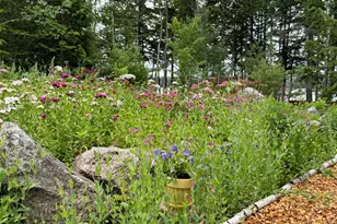 123 Eagle Point Rd, Lamoine, ME 04418 - Photo 9