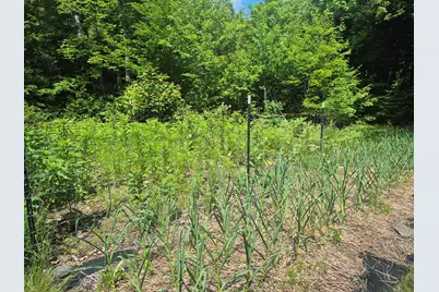 192 Dutch Gap Road, Waterville, ME 04938 - Photo 31