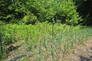 192 Dutch Gap Rd, Waterville, ME 04938 - Photo 31