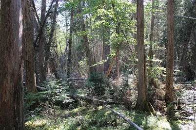 0 Mariaville Road, Mariaville, ME 04605 - Photo 9