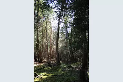 0 Mariaville Road, Mariaville, ME 04605 - Photo 1