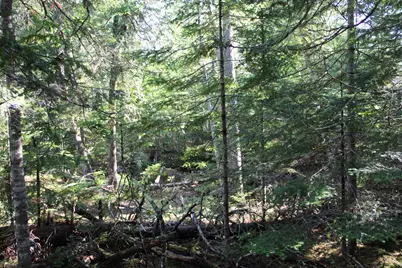 0 Mariaville Road, Mariaville, ME 04605 - Photo 15