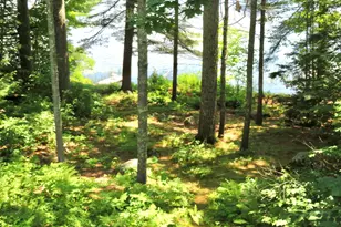 22 Dow Ln, Windham, ME 04062 - Photo 9