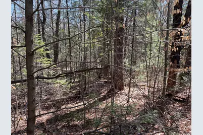 R3 L14 New Vineyard Road, New Vineyard, ME 04956 - Photo 5