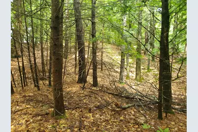 Lot #36 Beaver Brook Road, Limerick, ME 04048 - Photo 3