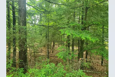 Lot #36 Beaver Brook Road, Limerick, ME 04048 - Photo 15