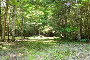 195 W Old Main Rd, Lowell, ME 04493 - Photo 13