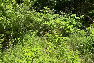 390 Upper Long Pond, Bucksport, ME 04416 - Photo 15
