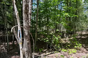 390 Upper Long Pond, Bucksport, ME 04416 - Photo 17