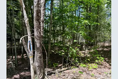 390 Upper Long Pond, Bucksport, ME 04416 - Photo 17