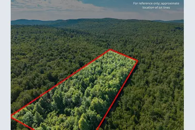 129 Hobbs Swamp Road, Parsonsfield, ME 04047 - Photo 3