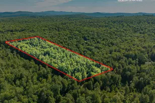 129 Hobbs Swamp Rd, Parsonsfield, ME 04047 - Photo 1