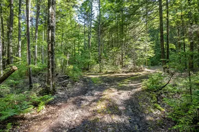 129 Hobbs Swamp Road, Parsonsfield, ME 04047 - Photo 11