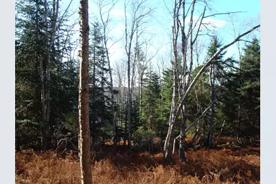 M26, L5 Deep Cove Lane, Islesboro, ME 04848 - Photo 19