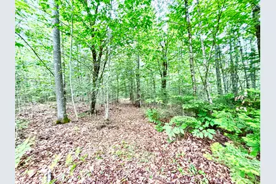 699 Charleston Road, Dexter, ME 04930 - Photo 31