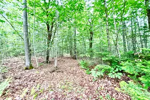 699 Charleston Rd, Dexter, ME 04930 - Photo 31