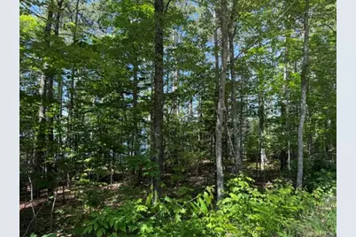 Lot 5 & 10 Charlotte Road, Charlotte, ME 04666 - Photo 19