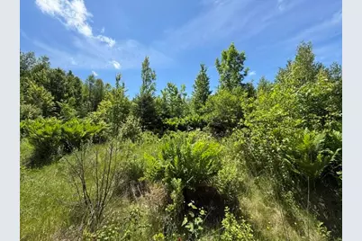 Map10Lotp 214, Meddybemps, ME 04657 - Photo 17