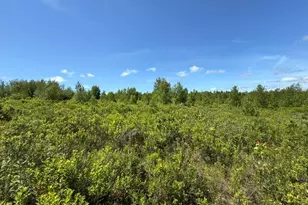 Map10Lotp 214, Meddybemps, ME 04657 - Photo 1