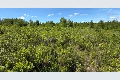 Map10Lotp 214, Meddybemps, ME 04657 - Photo 7