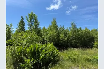 Map10Lotp 214, Meddybemps, ME 04657 - Photo 7
