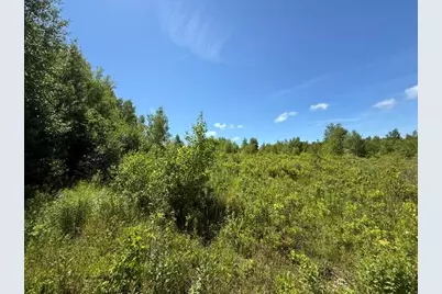 Map10Lotp 214, Meddybemps, ME 04657 - Photo 9