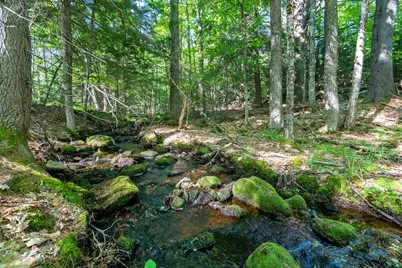 1328 Roosevelt Trail, Naples, ME 04055 - Photo 57