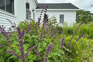 441 Main St, Thomaston, ME 04861 - Photo 77