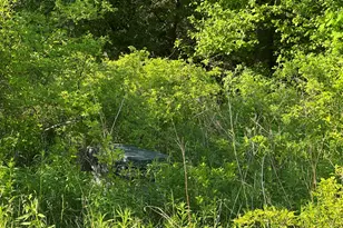 441 Main St, Thomaston, ME 04861 - Photo 97