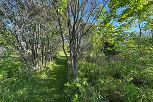441 Main St, Thomaston, ME 04861 - Photo 93