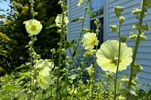 441 Main St, Thomaston, ME 04861 - Photo 105