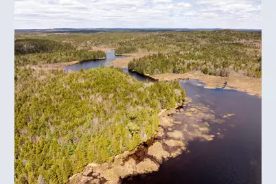 Map 12 Lot #7-A, Whiting, ME 04691 - Photo 9