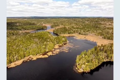 Map 12 Lot #7-A, Whiting, ME 04691 - Photo 3