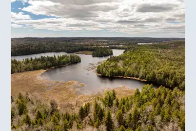 Map 12 Lot #7-A, Whiting, ME 04691 - Photo 7