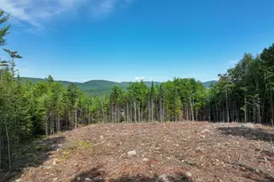 0 Old Country Trail, Dixfield, ME 04224 - Photo 1