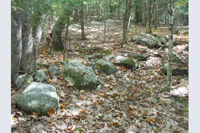117 Union Falls Road, Buxton, ME 04093 - Photo 5