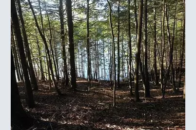 Lot 36-5 Union Falls Road, Buxton, ME 04093 - Photo 5