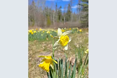 1778 Bayside Road, Trenton, ME 04605 - Photo 99