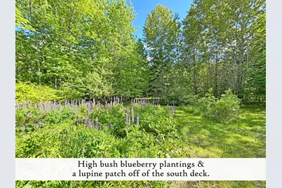 1778 Bayside Road, Trenton, ME 04605 - Photo 105