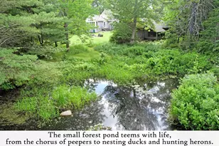 1778 Bayside Rd, Trenton, ME 04605 - Photo 97