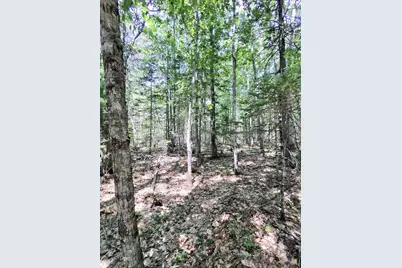 201 Mast Hill Road, Bucksport, ME 04416 - Photo 39