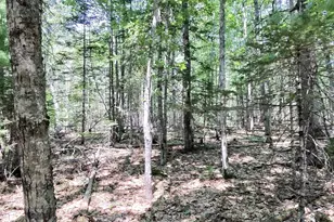 201 Mast Hill Rd, Bucksport, ME 04416 - Photo 39