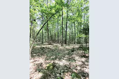 201 Mast Hill Road, Bucksport, ME 04416 - Photo 41