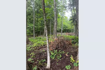 M1L112 Cove/Bear Brook Road, Sebec, ME 04481 - Photo 7