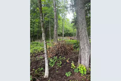 M1L112 Cove/Bear Brook Road, Sebec, ME 04481 - Photo 5