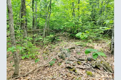 477 Hadley Mill Road, Jackson, ME 04921 - Photo 13