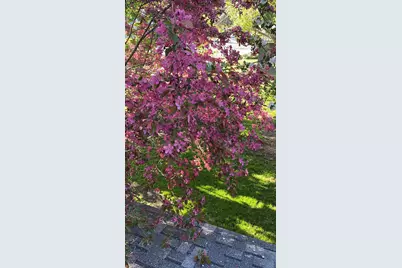 66 Howard Street, Bangor, ME 04401 - Photo 9