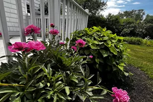 66 Howard St, Bangor, ME 04401 - Photo 17