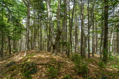 205 Steves Road, Boothbay, ME 04537 - Photo 11